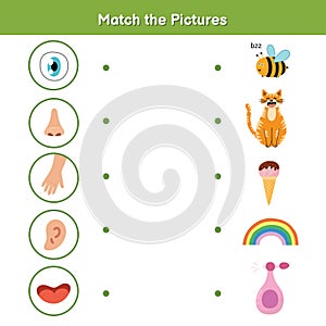 Five senses matching game for kids. Sight, touch, hearing, smell and taste