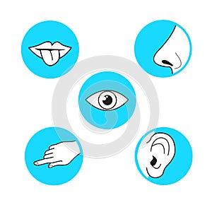 Five senses methods of perception, taste sight touch smell soun