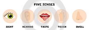 Five senses poster. Vector illustration. Sense organs.