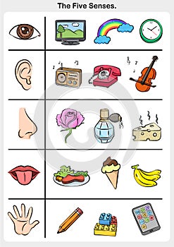 Five senses - touch, taste, hearing, sight, smell.