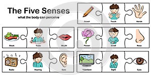 Five senses - touch, taste, hearing, sight, smell.