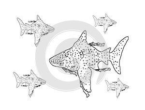 Five shark whales, colouring book page uncolored