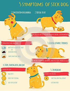Five simptoms of sick dog. Infographics
