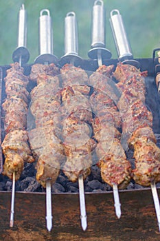 Five skewers with chunks of fragrant shish kebab.