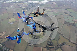 Five skydivers photo