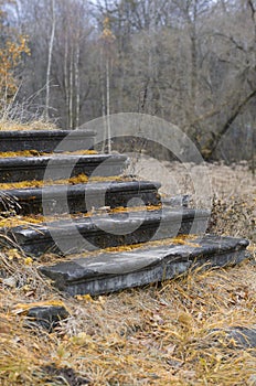 Five-step staircase covered with moss in the autumn