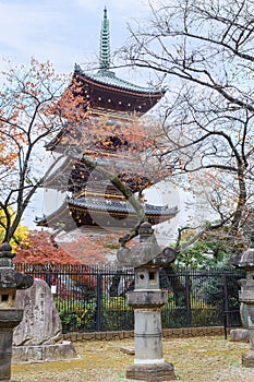 Five Storied Pagoda of Kaneiji Temple at Ueno Park in Tokyo