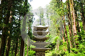 Five Storied Pagoda in Mt. Haguro, Yamagata, Japan photo