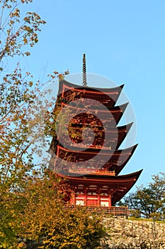 Five stories Pagoda with momiji maple tree photo