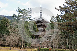 Five story pagoda of Daigo temple