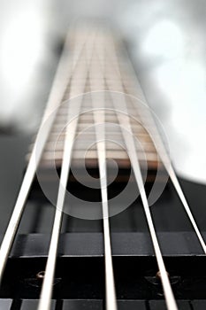 Five string bass guitar frets fretboard and strings