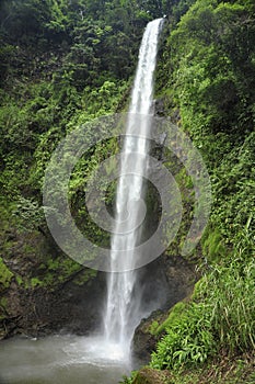 Rainbow Waterfall, also known as Catarata Arco Iris, is the third of five waterfalls along the hiking trail at Viento Fresco Water photo