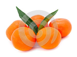 Five tangerines isolated