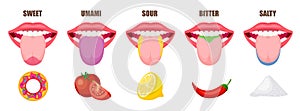 Five taste zones in a mouth - sweet, salty, sour, bitter and umami.