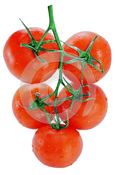 Five tomatoes isolated on white background