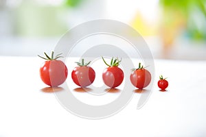 Five tomatoes in a row in front of a blue green and white blurry background