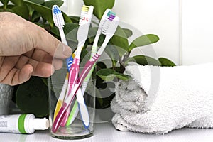 Five toothbrushes in a glass cup mouthwash a tube of toothpaste and a rolled up towel on the dressing table against a backdrop of