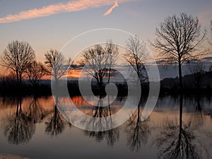 Five Trees and a river