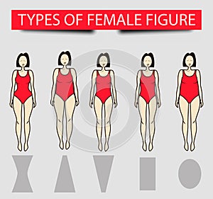 Five types of female figures, vector image
