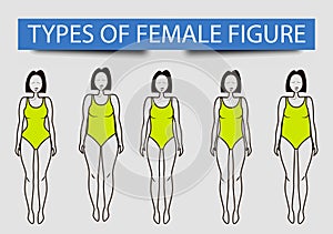 Five types of female figures, vector image