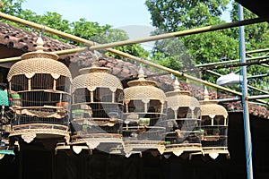 Five unique turtledove cages are drying in the sun