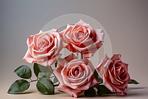 Five Vibrant Pink Roses With Velvety Petals And Rich Green Leaves Arranged Gracefully