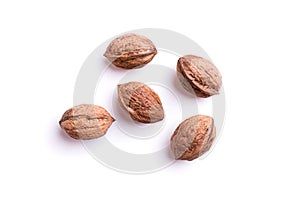 Five walnuts