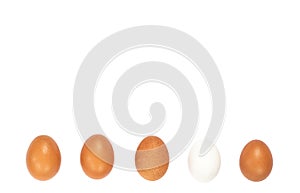 Five white and brown chicken eggs in a row isolated against a white background