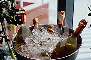 Five wine bottles chill in ice bucket