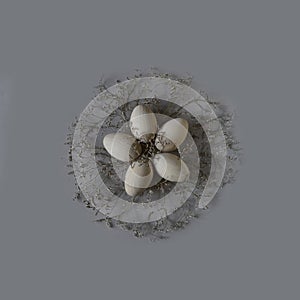 Five wooden easter eggs in a nest in the shape of a flover on a gray background.