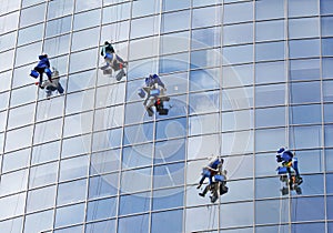 Five workers washing windows