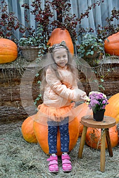 A five-year-old girl with a bouquet of astra sits on a large pumpkin in the yard of a rural house. Autumn Harvest