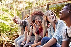 Five young adult friends sitting in a forest laughing together during a hike, close up