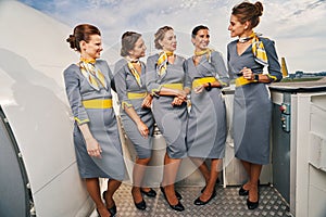 Five young elegant cheerful stewardesses chatting outdoors