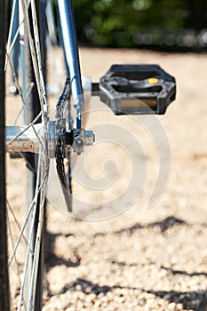 Fixed gear bicycle in the park