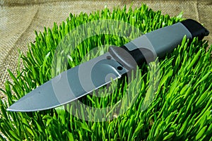 Fixed knife on grass. Cold teperature.