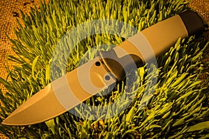 Fixed knife on grass. Warm teperature.