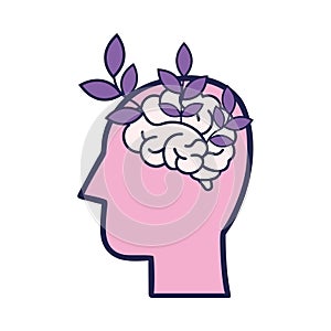 Fixed Mindset Limited Growth