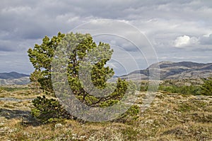 Fjell landscape on Indre-Vikna