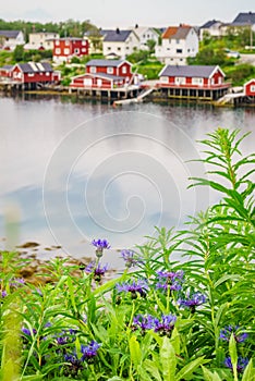 Norwegian fishing village, Reine Lofoten Norway