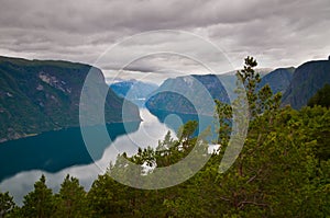 Fjord in Norway with pine trees in the foreground - pictures of