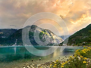 Fjord shore in Norway at sunset