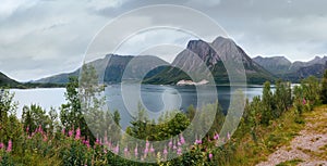 Fjord summer cloudy panorama (Norway