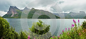 Fjord summer cloudy view, Norway