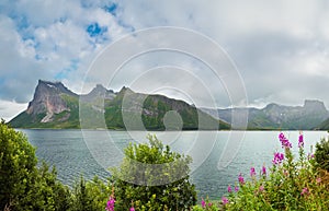 Fjord summer cloudy view, Norway