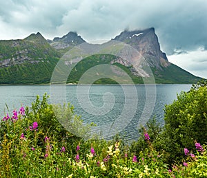 Fjord summer cloudy view, Norway