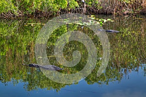 FL-Everglades National Park