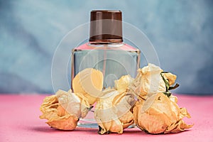 Flacon of perfume surrounded by dry buds of white roses. Presentation of cosmetic product