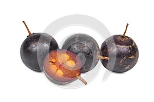 Flacourtia indica fruit isolated on white