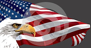 flag of America